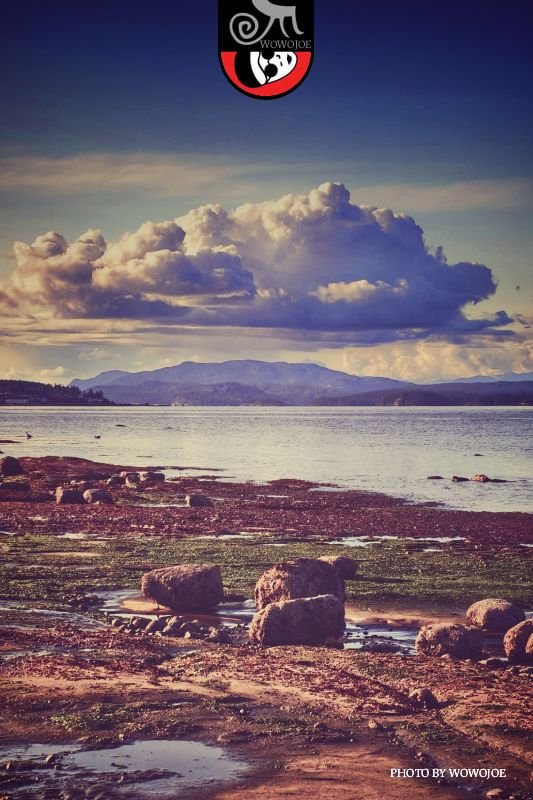 Distant shoreline at Campbell River with blue sky, ocean, and pebble beach creating a calm open horizon